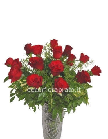 Rose rose 5