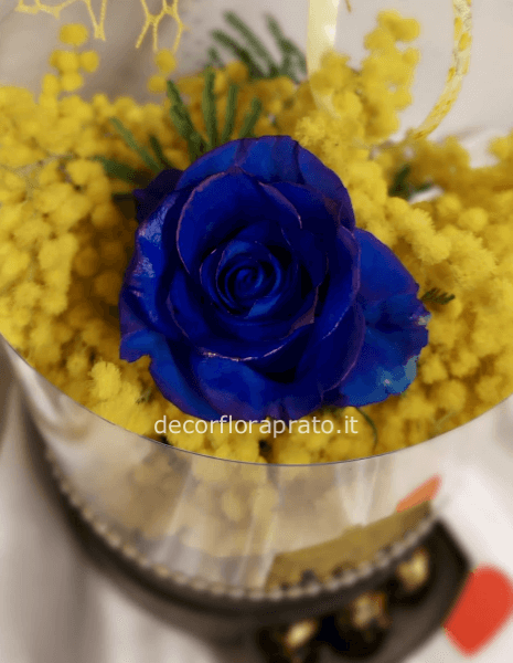 flowerbox mimosa e cioccolatini