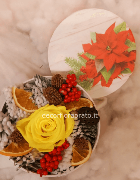 Rosa stabilizzata per natale
