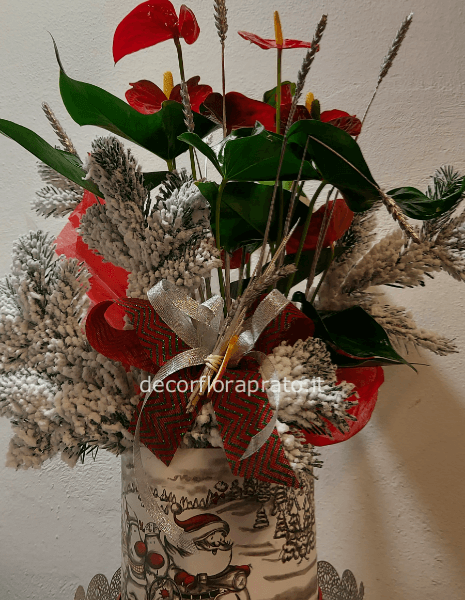 Anthurium speciale