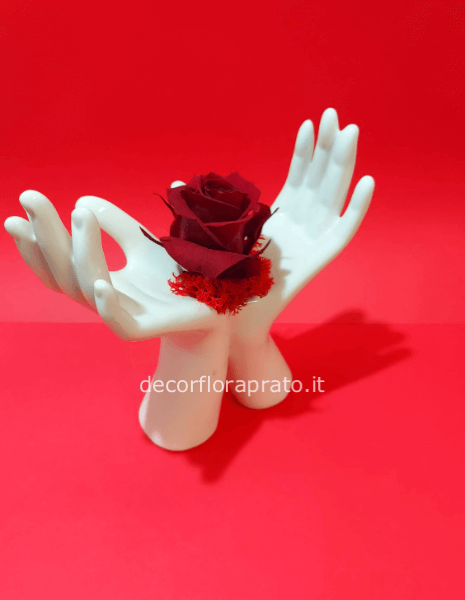 2 mani con rosa stabilizzata