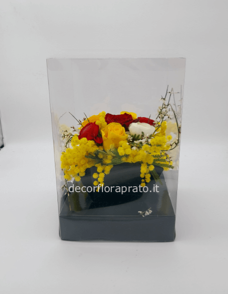 Composizione box trasparente