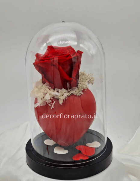 cupola con rosa stabilizata