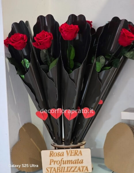 Rosa rossa stabilizzata a gambo lungo